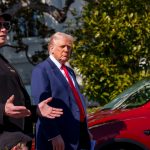 Trump says Tesla attacks could be considered domestic terrorism