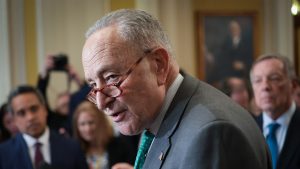 Schumer says House bill to fund government lacks Senate votes