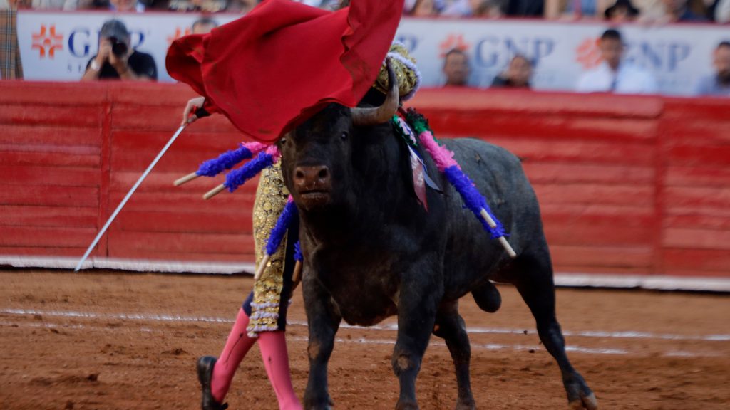 Bullfighting without blood: Mexico City lawmakers end centuries-old tradition