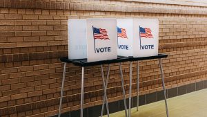 DOJ’s voting unit told to focus on voter fraud, Trump’s election order: Report