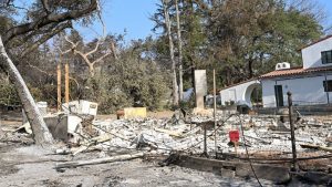 After LA wildfires, Mandy Moore says residents are cutting through red tape