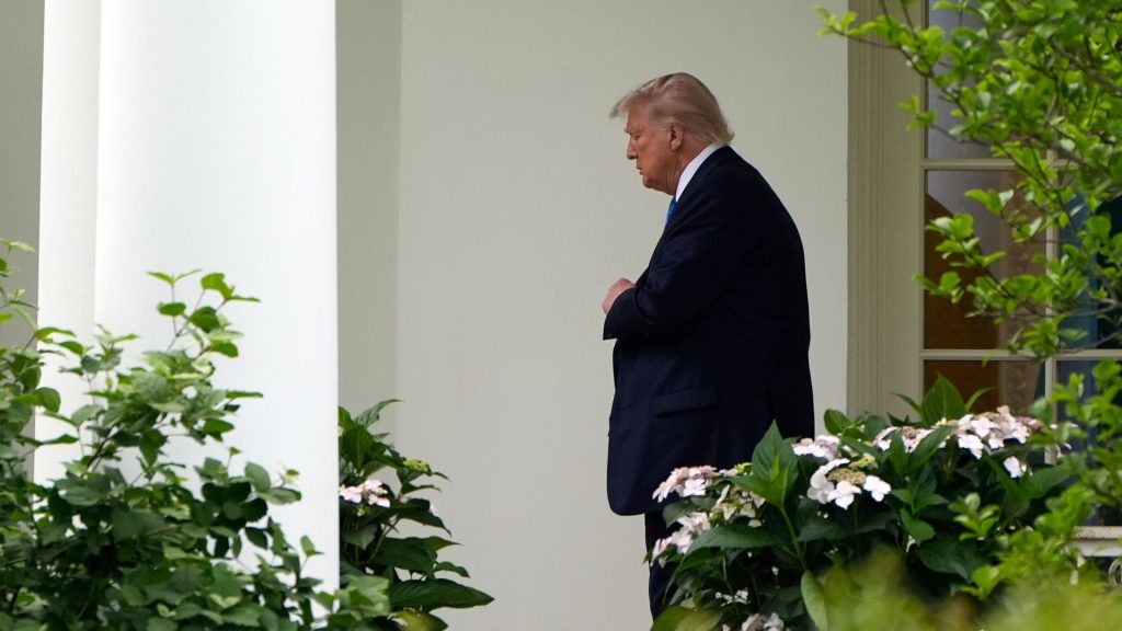 ‘I’m not a lawyer’: Trump dodges question about due process rights