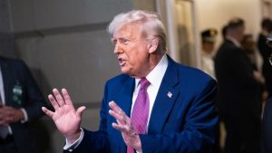 US already ‘crossed the line’ into authoritarianism, experts warn