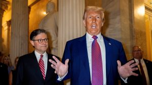Trump tells Republicans ‘don’t F with Medicaid’ in final push for tax bill