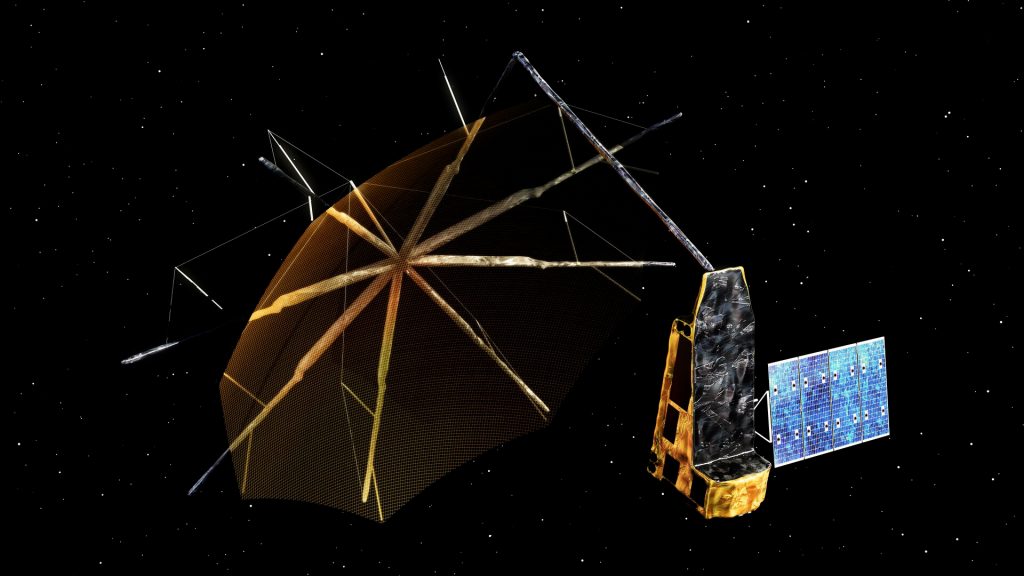 Satellite mission to ‘weigh’ Earth’s 1.5 trillion trees underway