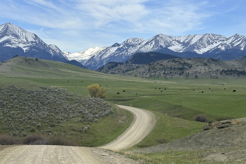 Guard helo trespassed on Montana ranch to take deer antlers: citation