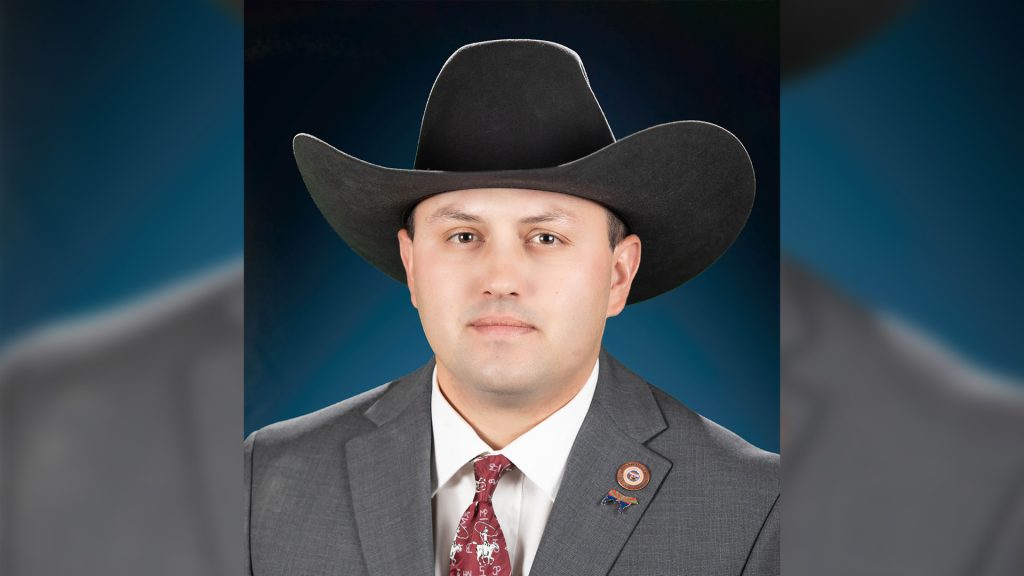 Former Arizona lawmaker indicted on fraud charges over ballot signatures