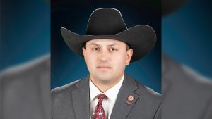 Former Arizona lawmaker indicted on fraud charges over ballot signatures