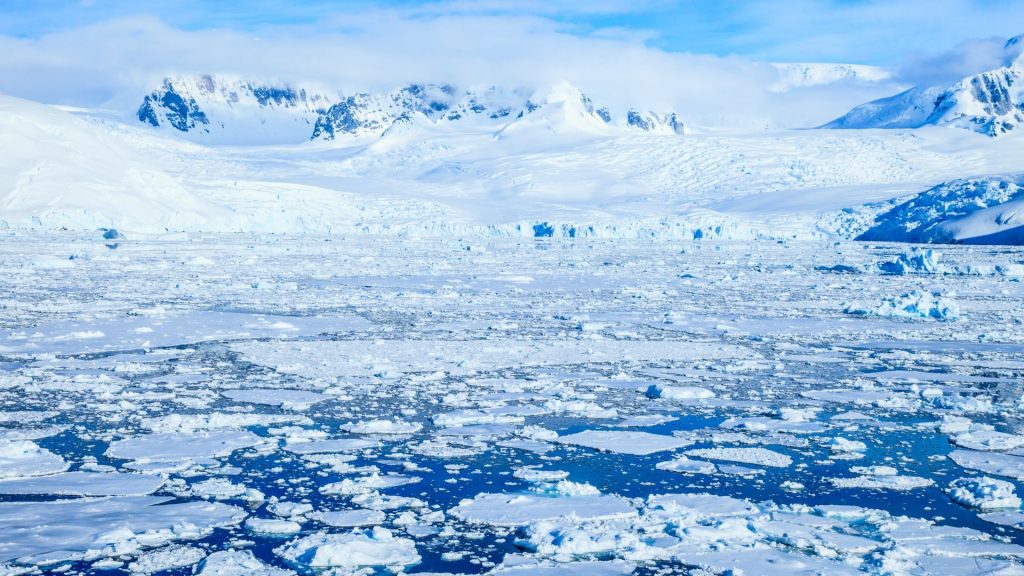 Researchers find ancient world of forests and rivers under Antarctica’s ice