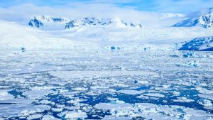 Researchers find ancient world of forests and rivers under Antarctica’s ice