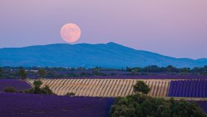 Catch the last full moon of spring, the Strawberry Micro Moon, June 11