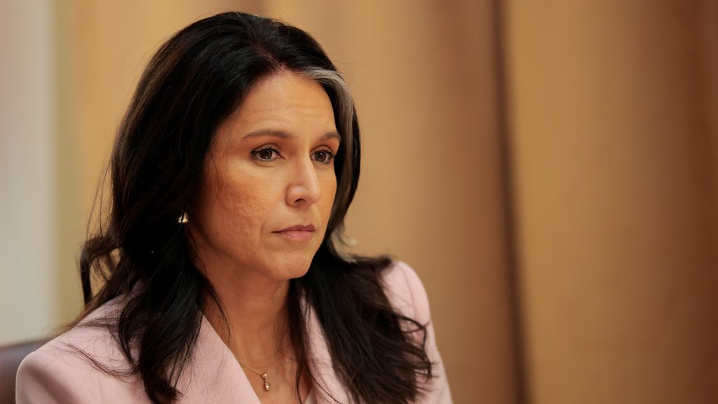 GOP senators push to cut intelligence office led by Tulsi Gabbard