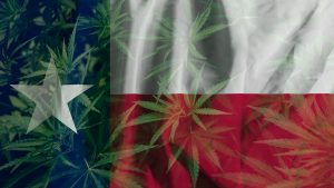 Republican leaders criticize Texas governor’s veto on THC ban