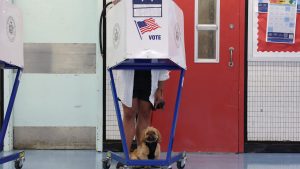 NYC mayoral primary opens with Cuomo, Mamdani locked in close race