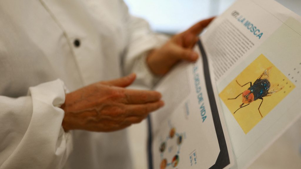 US to spend millions to combat parasite along popular migrant route