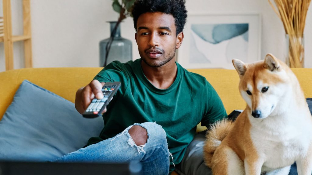 Do dogs care about the TV show you’re watching? A new study suggests they do