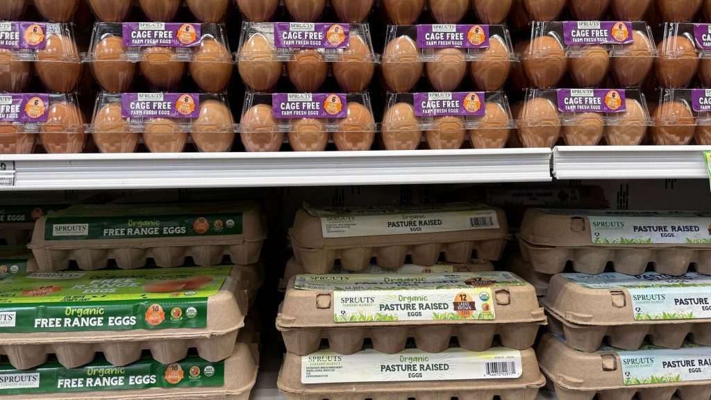 DOJ lawsuit says California’s ‘cage-free’ laws contributed to rise in egg prices
