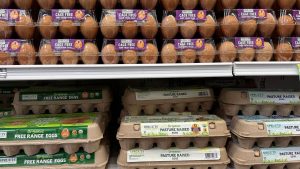 DOJ lawsuit says California’s ‘cage-free’ laws contributed to rise in egg prices