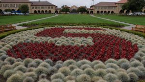 Stanford faces $140M budget cut amid changing federal funding landscape