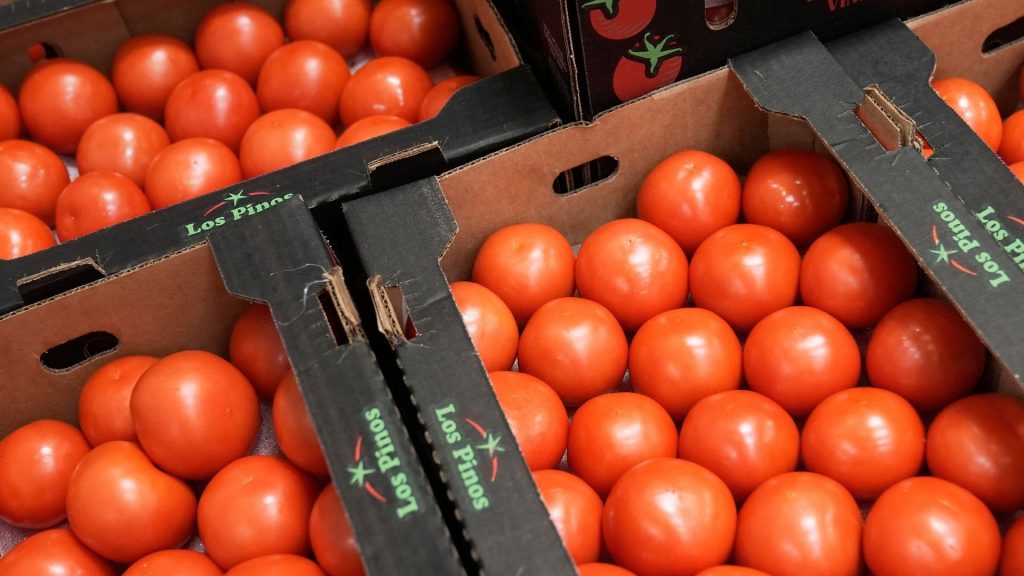 US-Mexico tomato trade deal ends, prices set to rise