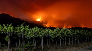 Major wildfire in California’s wine country chars thousands of acres