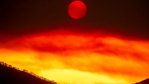 Gifford Fire burns more than 83,000 acres as officials find where it ignited