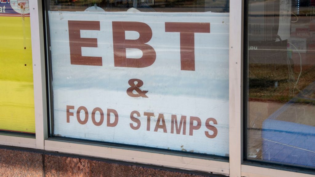 Ex-Michigan state worker says she was fired for exposing SNAP fraud