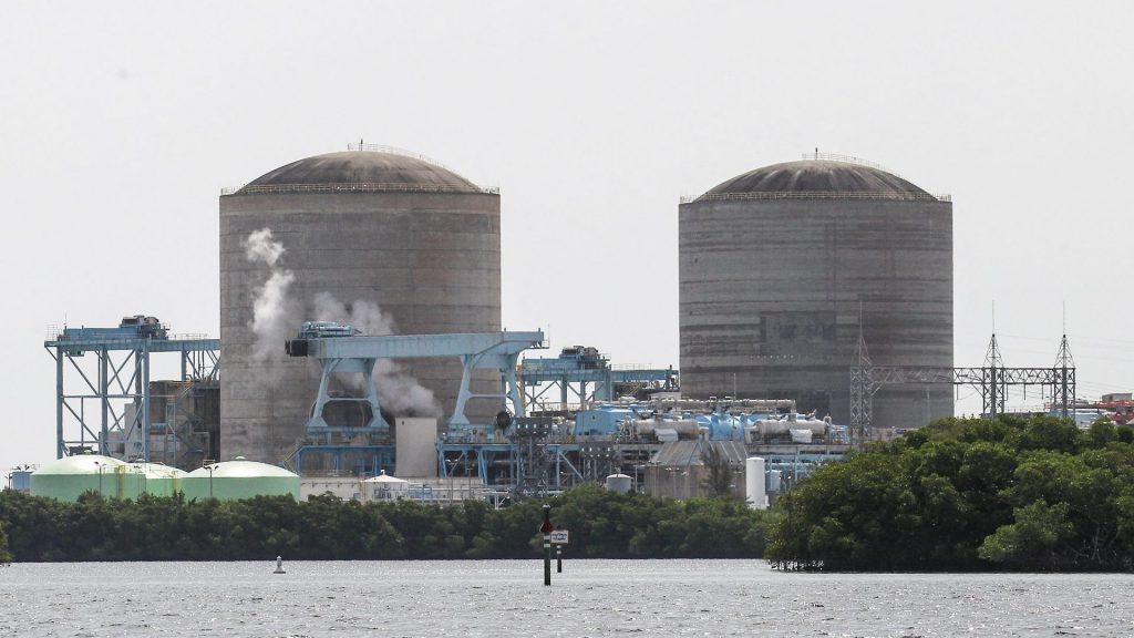 Florida nuclear plant workers feared retaliation over safety concerns: Report