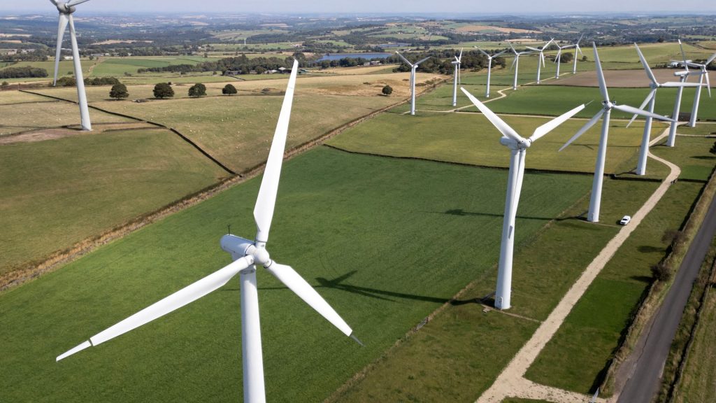 Trump says federal government will not approve new wind farms or solar projects
