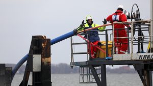 Undersea cables face rising sabotage risk, analysts warn