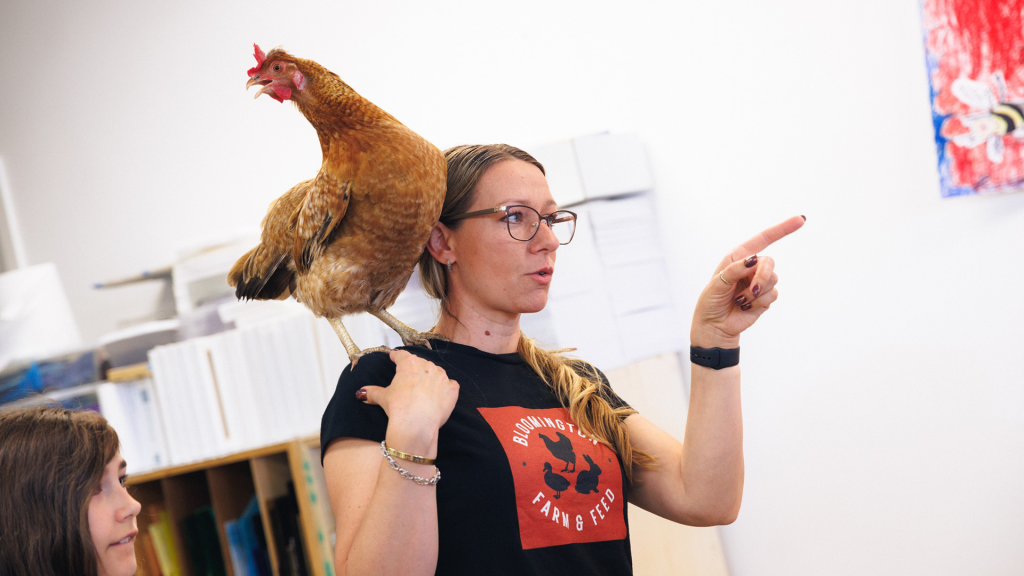 America’s backyard chicken boom explained