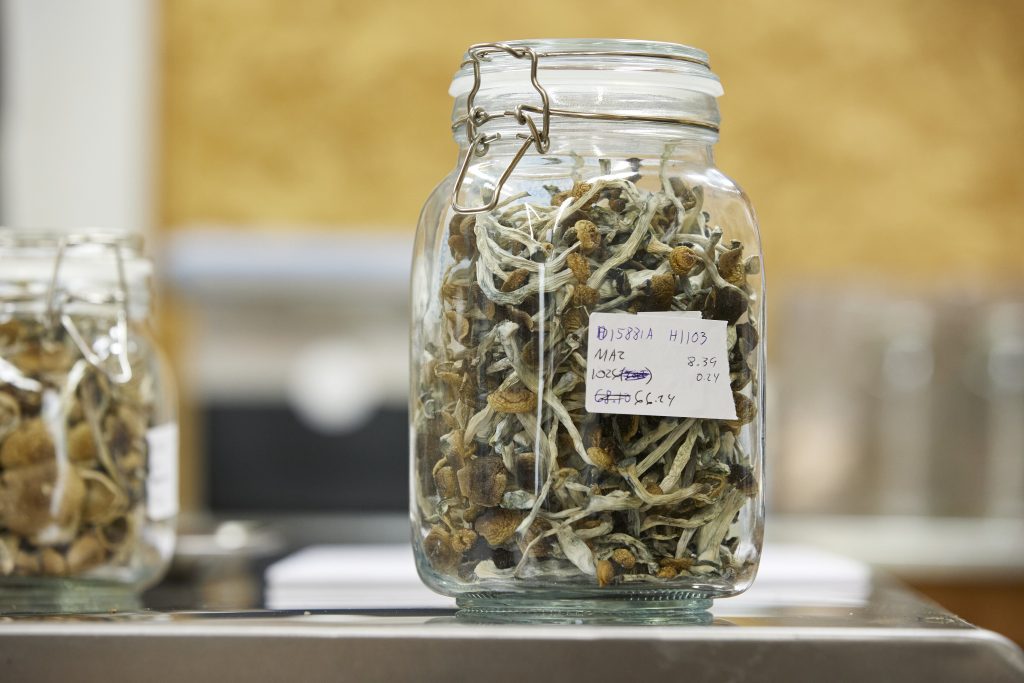 Troops will be drug tested for psychedelic mushroom use, Pentagon says