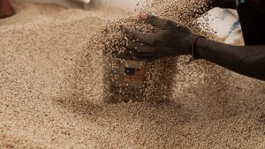 Here’s what foreign aid looks like 60 days after the end of USAID