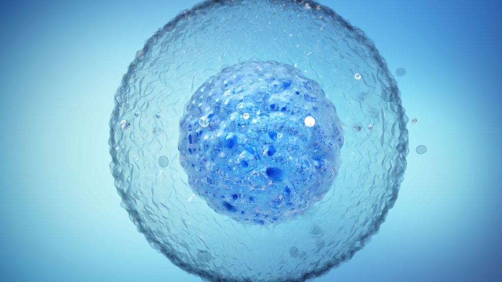 Congress working to reauthorize federal stem cell and bone marrow programs