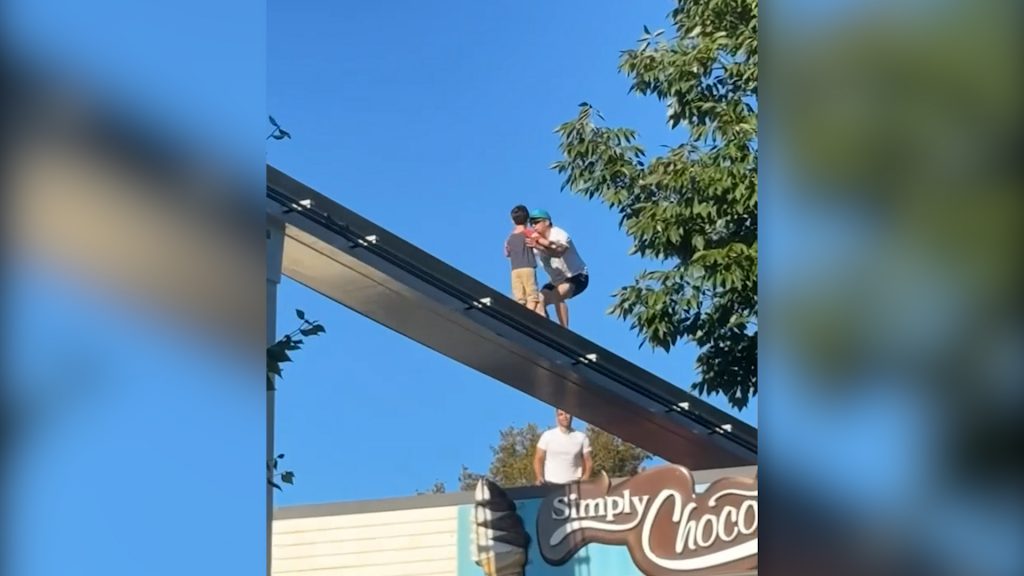 Man saves boy from amusement park monorail track
