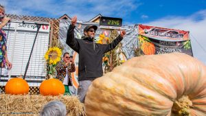 California engineer wins 2025 Safeway Pumpkin Weigh-Off with 2,346-pound gourd