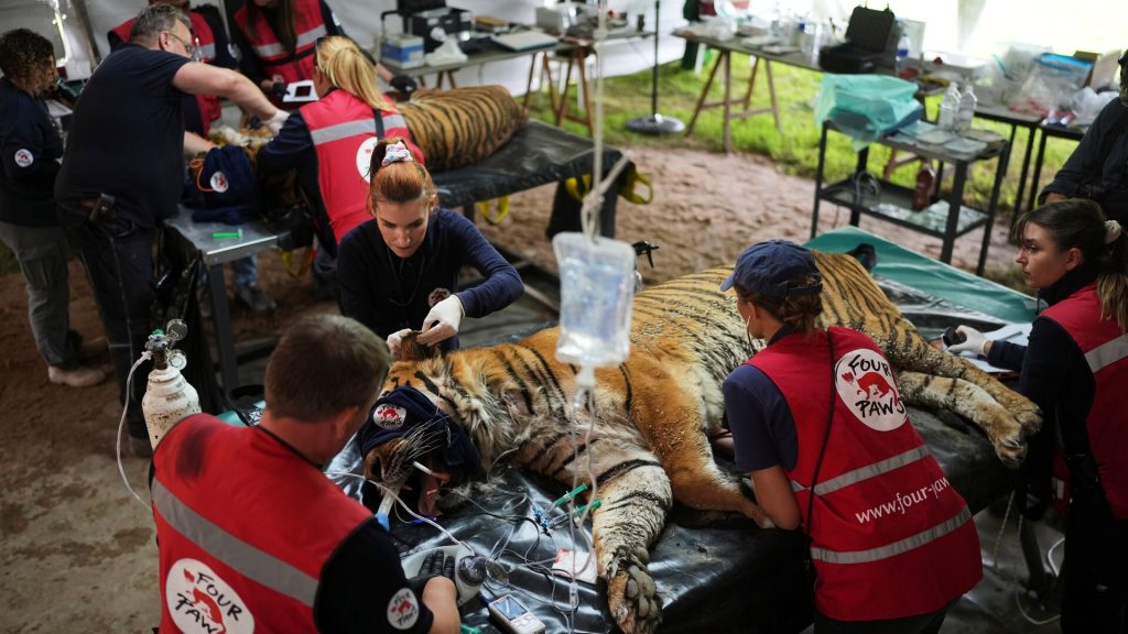 Dozens of animals abandoned at zoo for 5 years receive emergency care: Report