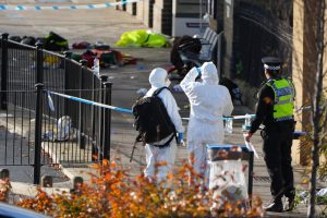 Stabbing attack in London-bound train leaves 11 wounded, 2 critical