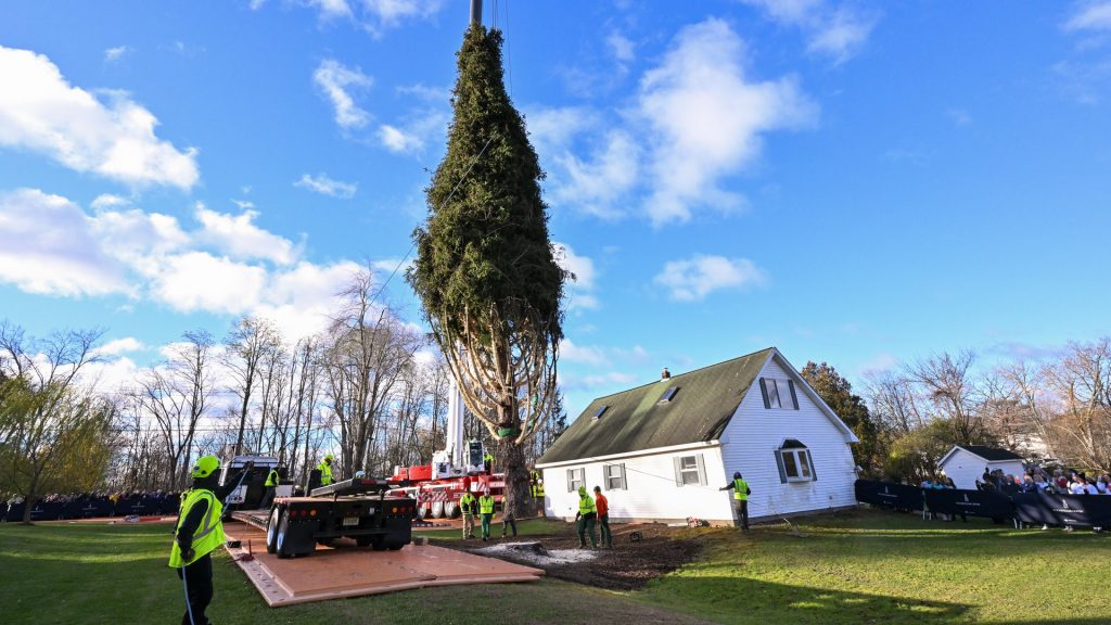 It’s 75 feet and feels like Christmas. Rockefeller Center tree arrives Saturday
