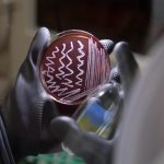 At-home gut microbiome tests grow in popularity, but experts say they’re limited