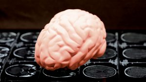 Study says DNA damage seen in Alzheimer’s also linked to CTE