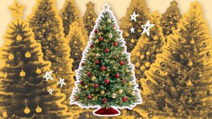 Why your neighbors may have more Christmas trees than kids