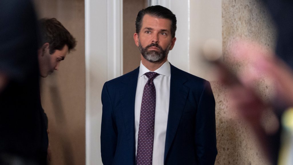 Trump Jr: Father may walk away from Ukraine as Kremlin cheers US shift