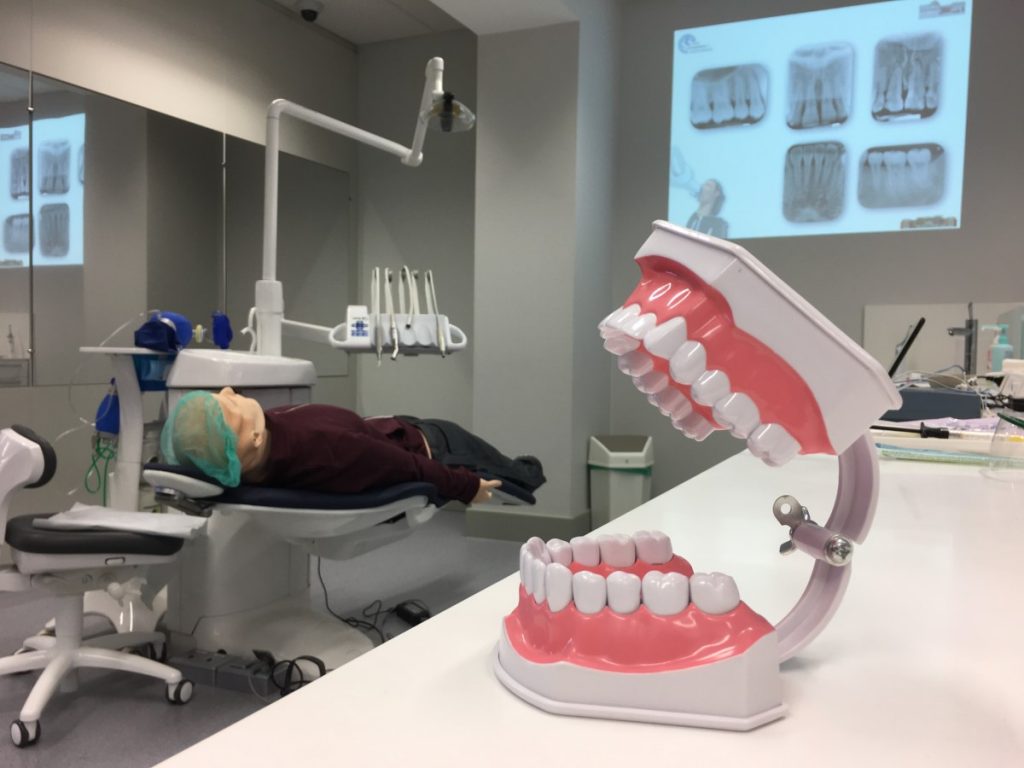 Military families will see slight increases in Tricare dental premiums