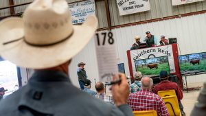 Why are US ranchers so upset about Trump plan to lower beef prices?