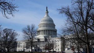 Police arrest man armed with shotgun and tactical gear near Capitol steps 