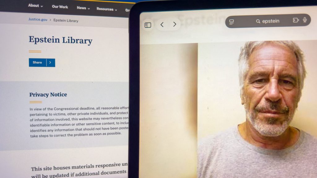 Bondi tells Congress she released all Epstein files, explains redactions