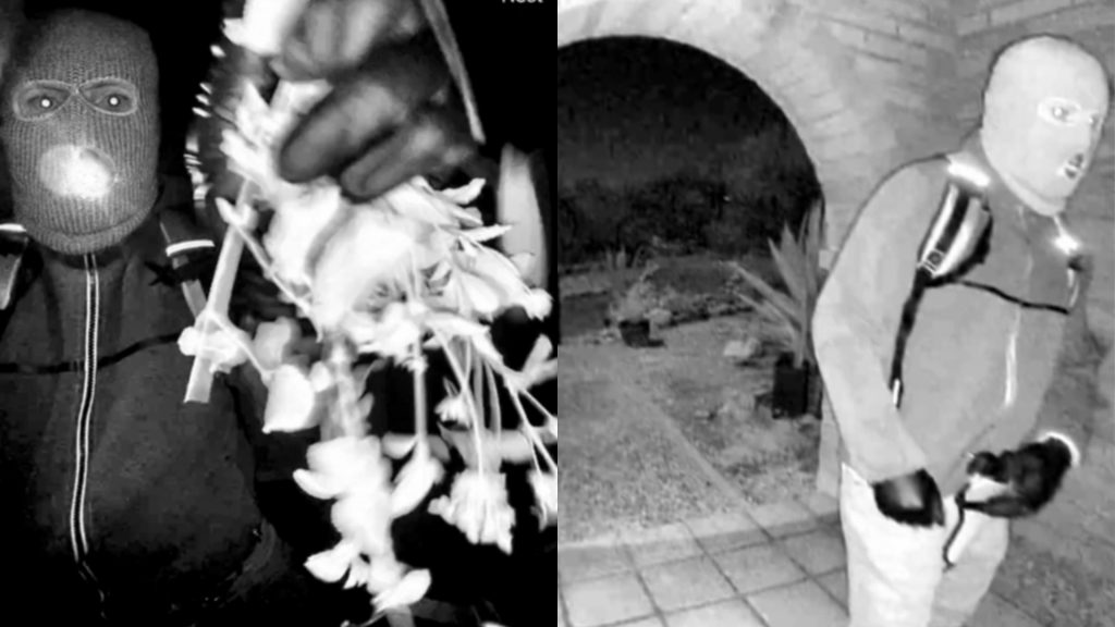 FBI releases photos, video of suspect in Nancy Guthrie case