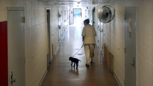 As US locks up fewer men, more women wind up behind bars