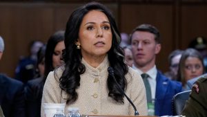 Tulsi Gabbard, other intelligence officials testify before Senate committee